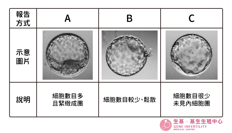 體胚分_生基_分級-1