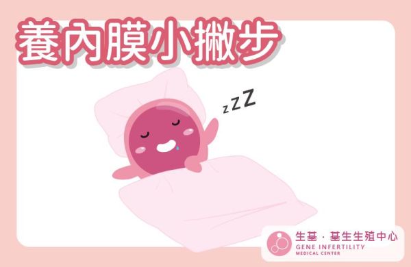 【医师专栏】胚胎舒适的着床环境