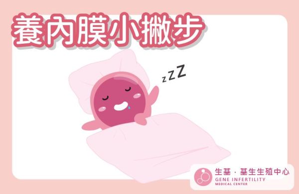 【醫師專欄】胚胎舒適的著床環境
